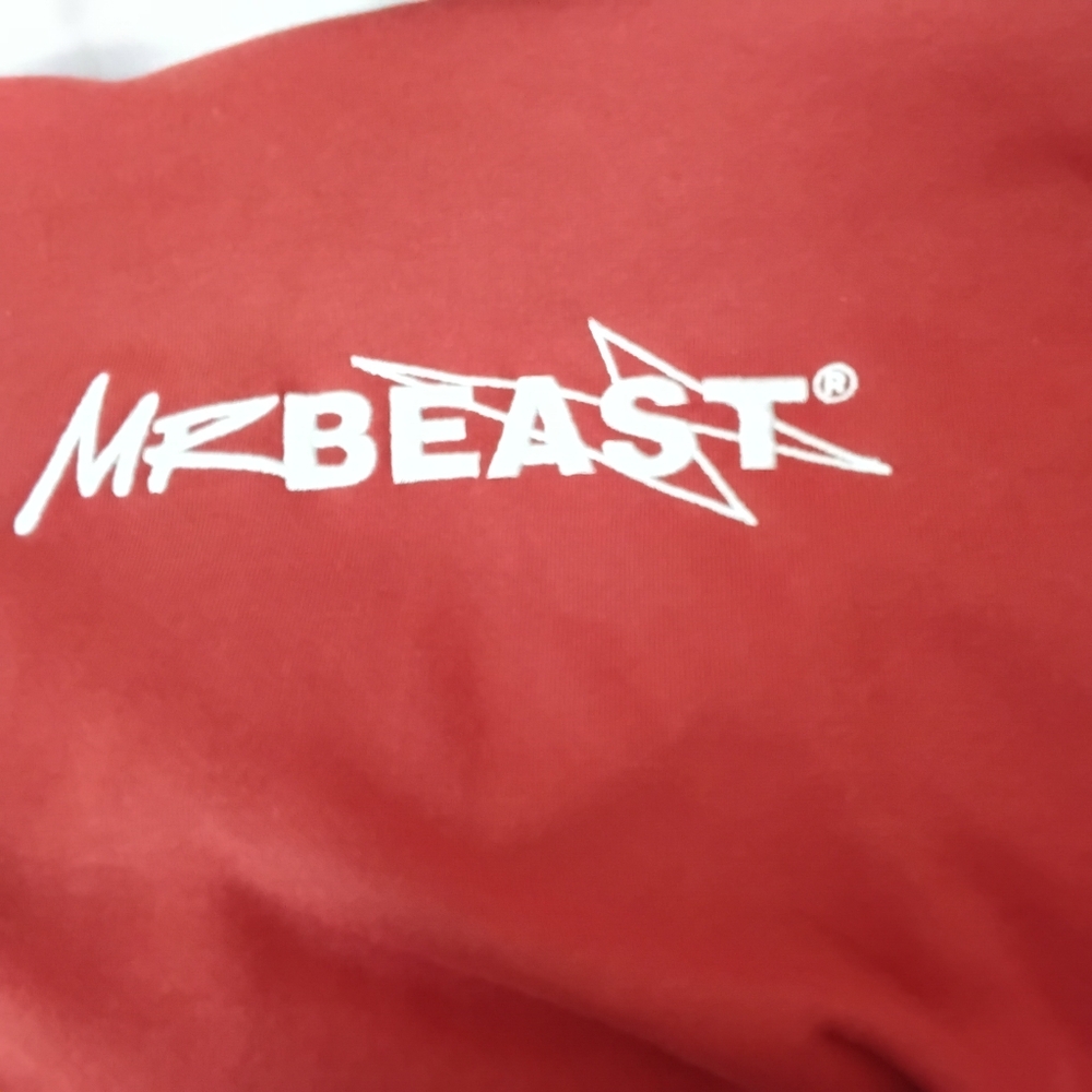 MR. BEAST   BURNT ORANGE EMBROIDERED HOODIE. Retired